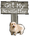 Sign-up to my newsletter